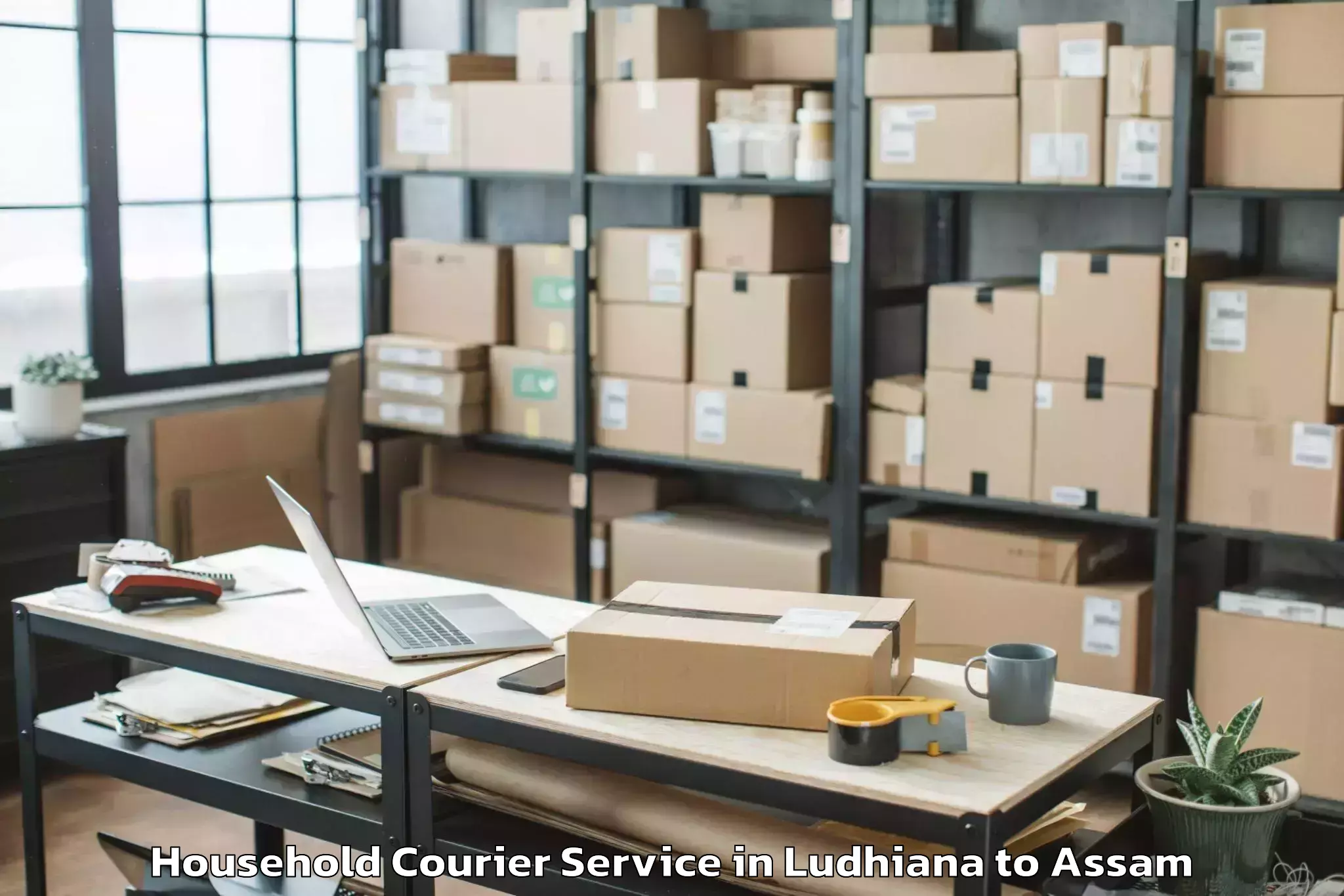 Book Ludhiana to Dhekiajuli Pt Household Courier Online